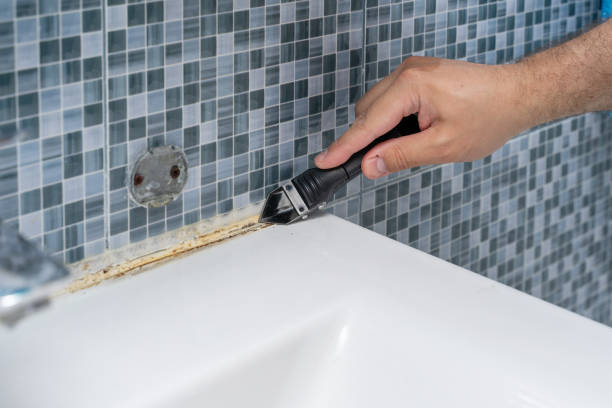  Kenai, AK Mold Removal Pros